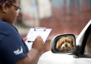Vet Curbside