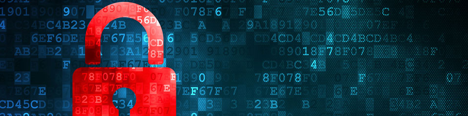  Security Banner 