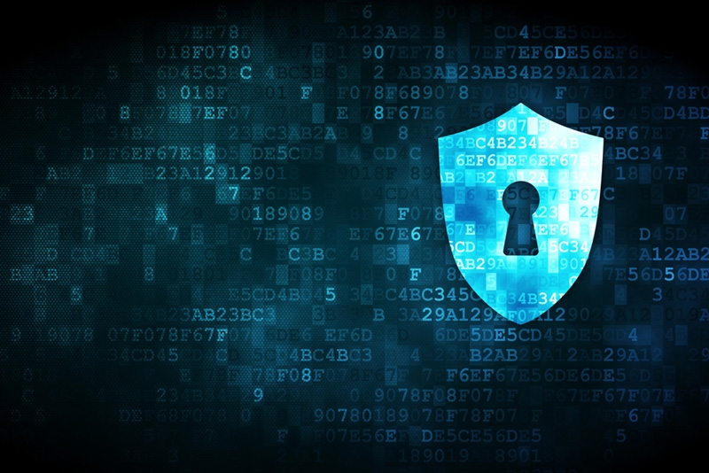  Data Security 
