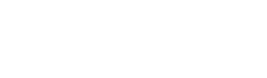 Datacap Logo White