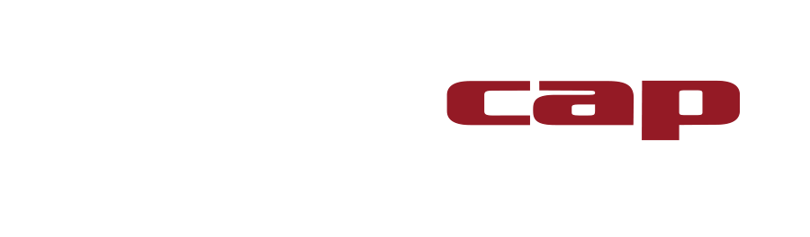 Datacap logo dual tone
