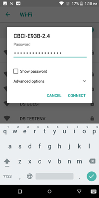 Network password