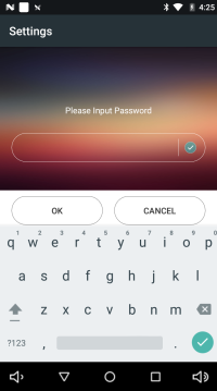 Input password